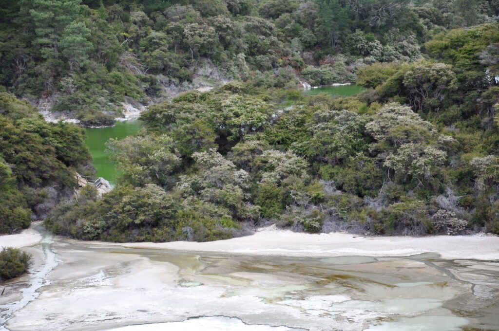 image of frying pan flat and lake ngakoro, wai-o-tapu thermal wonderland, new zealand