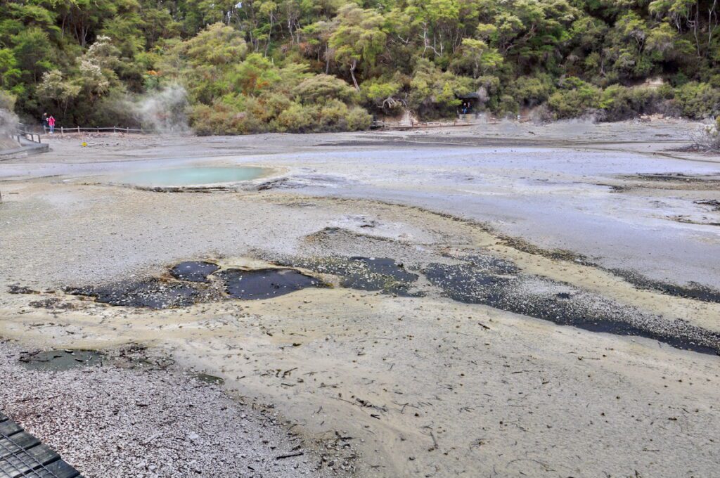 image of oyster pool, wai-o-tapu thermal wonderland, new zealand