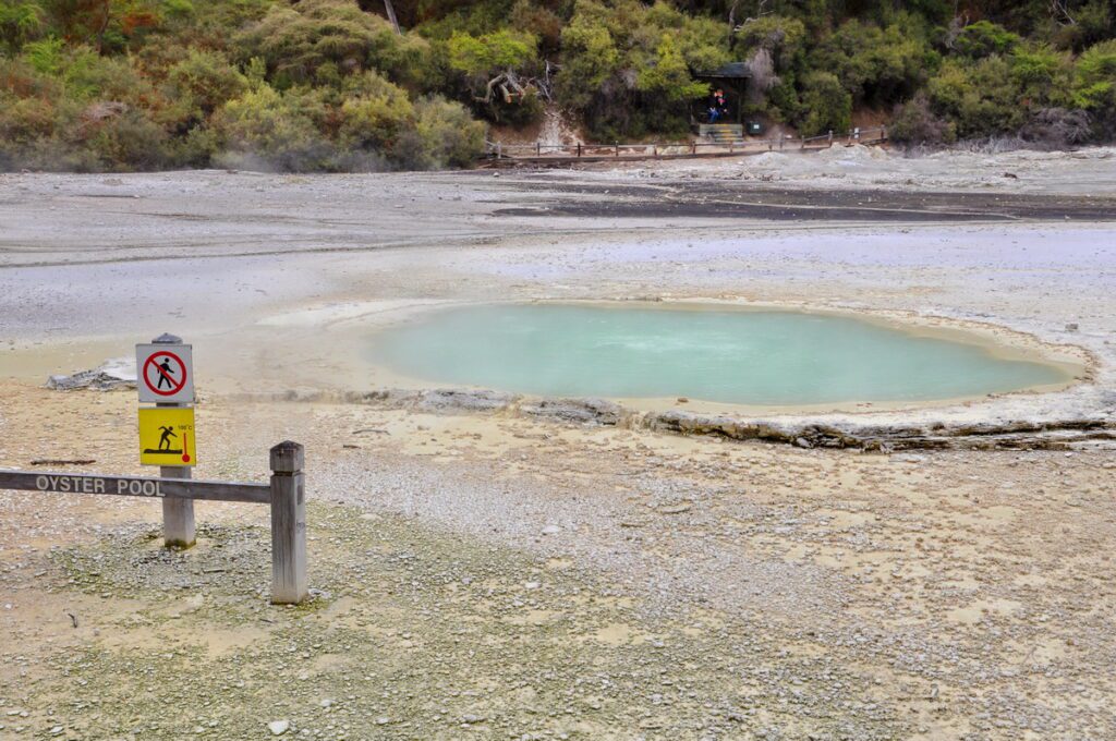 image of oyster pool, wai-o-tapu thermal wonderland, new zealand