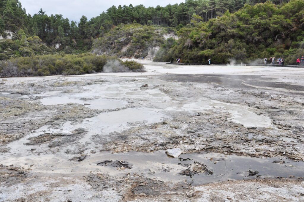 image of frying pan flat, wai-o-tapu thermal wonderland, new zealand