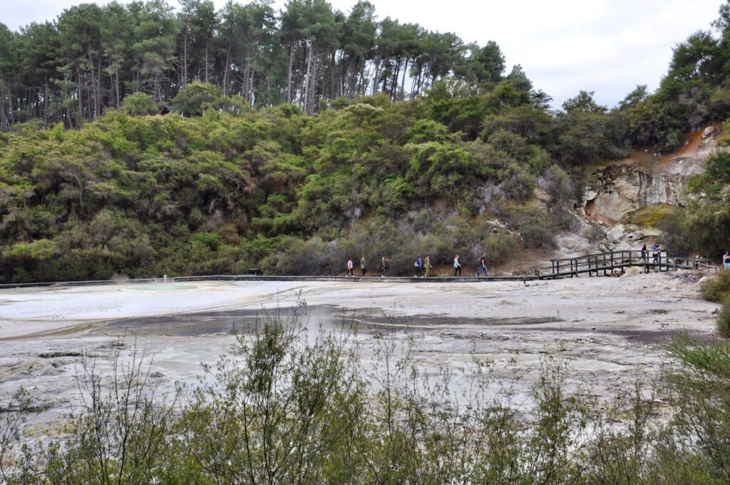 image of frying pan flats, wai-o-tapu thermal wonderland, new zealand