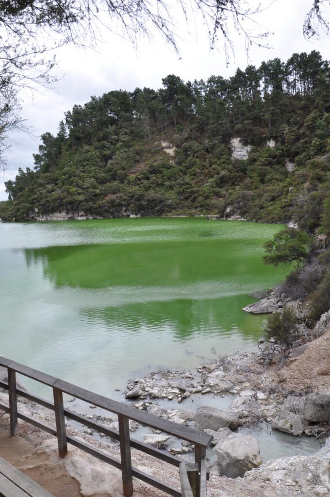 image of lake ngakoro, wai-o-tapu thermal wonderland, new zealand