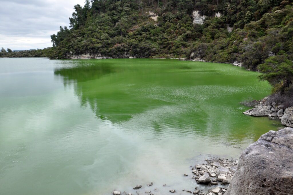 image of lake ngakoro, wai-o-tapu thermal wonderland, new zealand