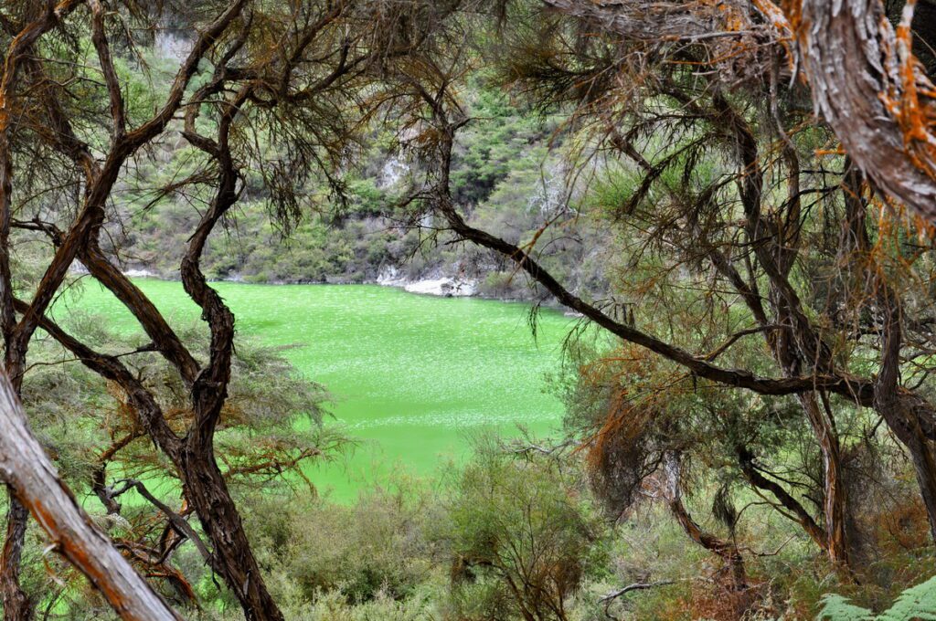 image of lake ngakoro, wai-o-tapu thermal wonderland, new zealand