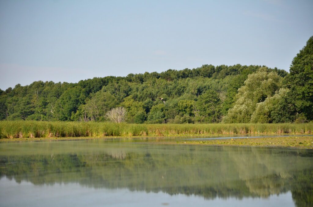 image of black river, prince edward county, ontario