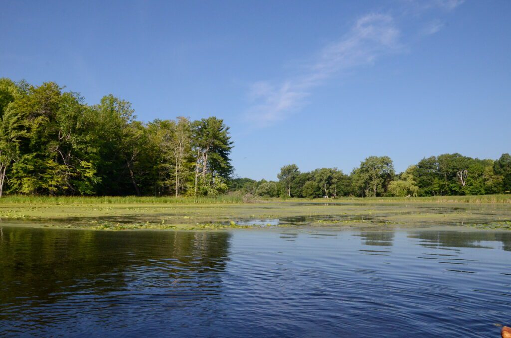 image of black river, prince edward county, ontario