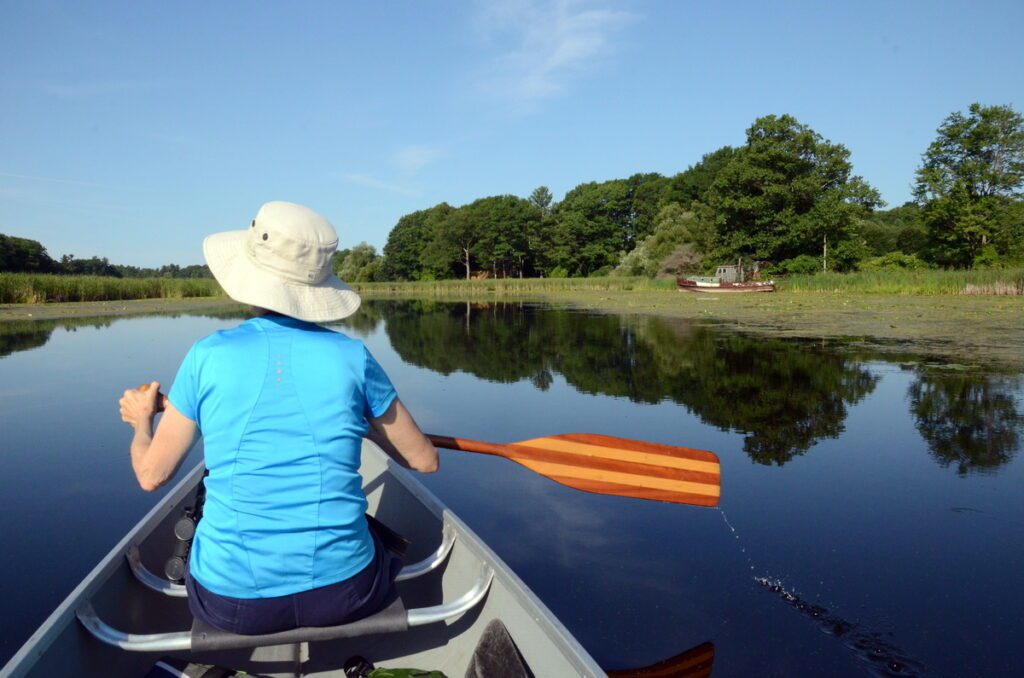 image of jean paddling, black river, prince edward county, ontario