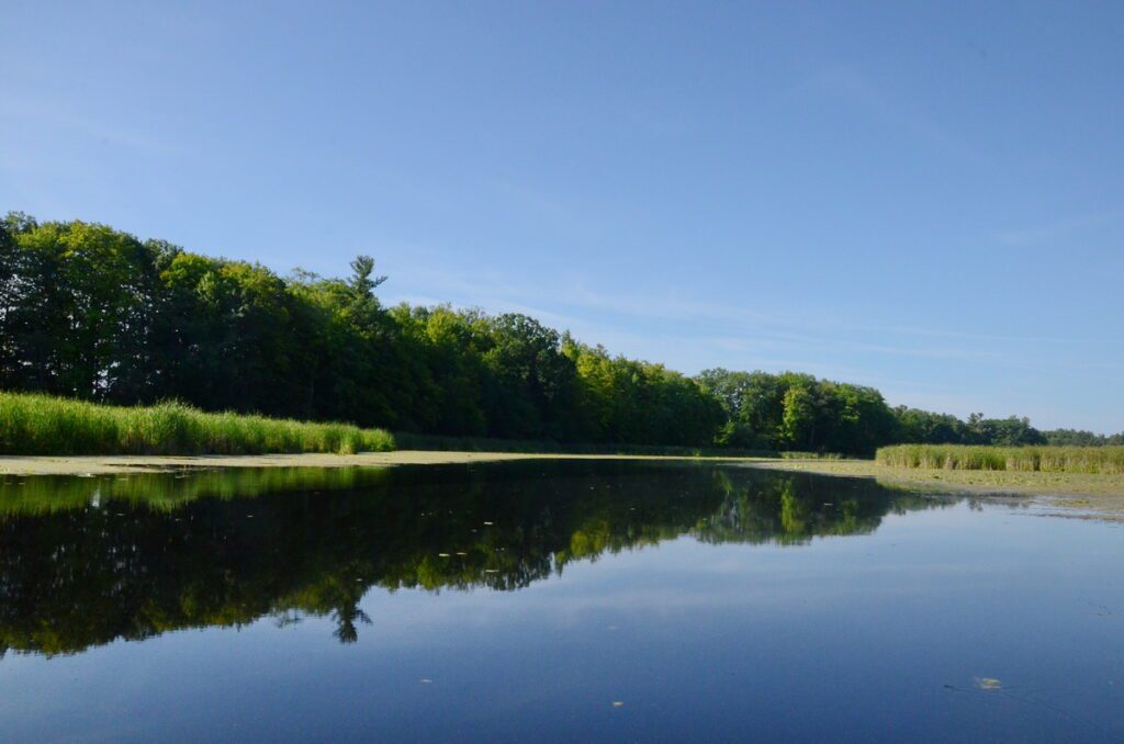 image of black river, prince edward county, ontario