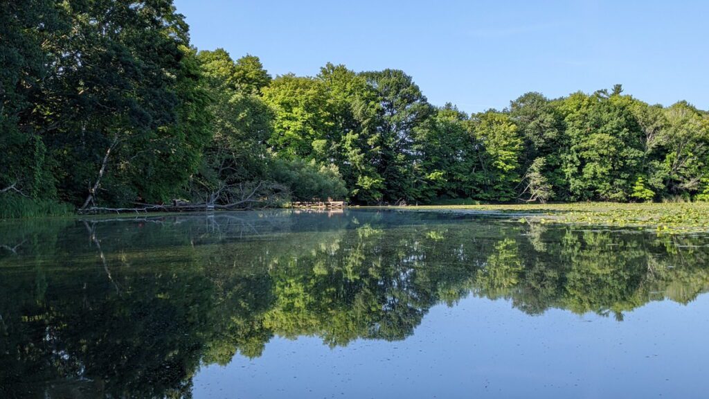 image of black river, prince edward county, ontario