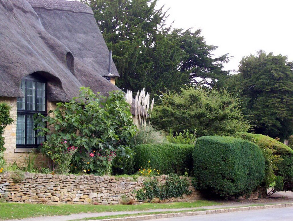 image of a thatched cottage and garden, chipping campden, england