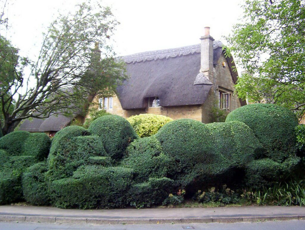 image of a thatched cottage and manicured hedge, chipping campden, england