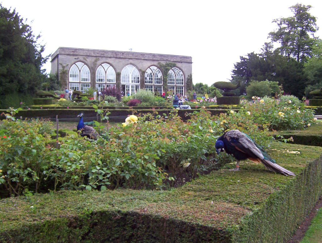  image of the peacock garden and conservatory tea room, warwick castle, england