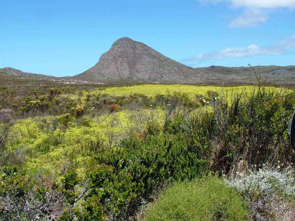 image of landscape, cape of good hope nature reserve, south africa