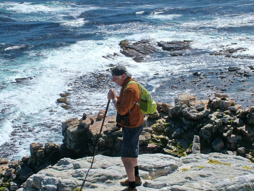image of bob at cape point, cape of good hope nature reserve, south africa