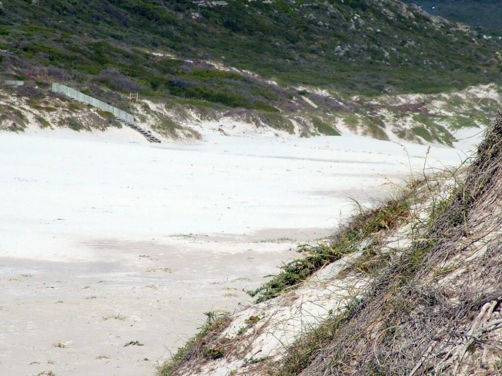 image of white sand, platboom beach, south africa