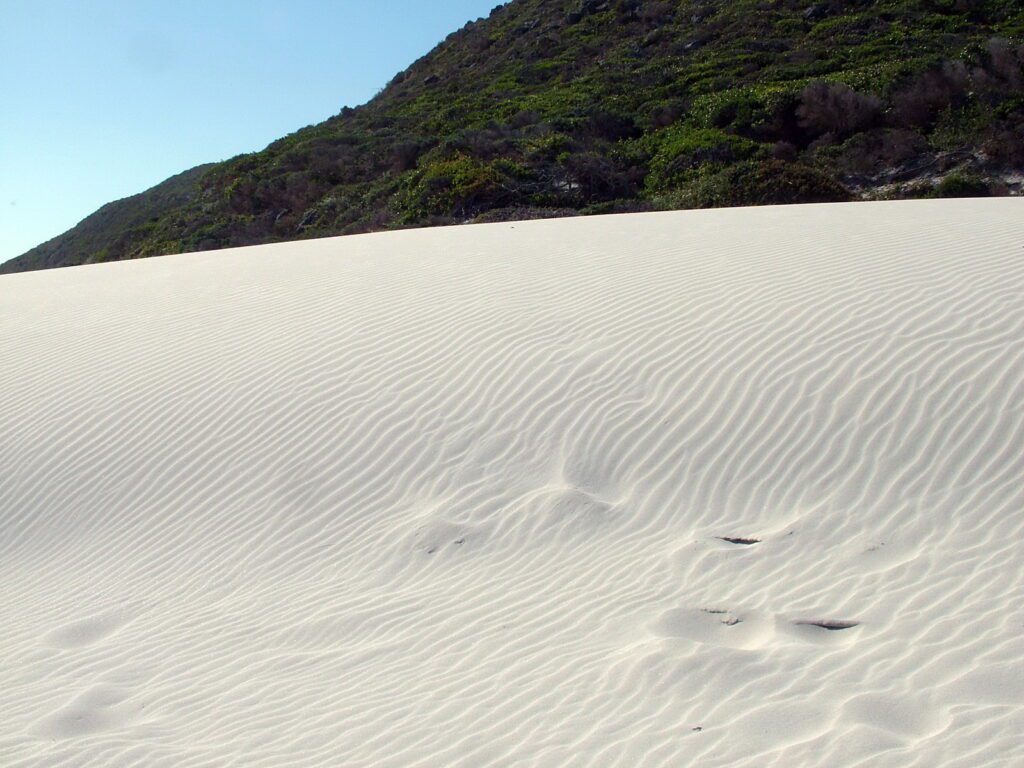 image of sand dunes, platboom beach, south africa