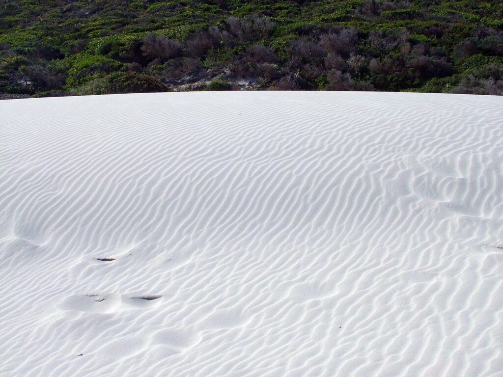 an image of sand dunes pockmarked with animal tracks, platboom beach, south africa