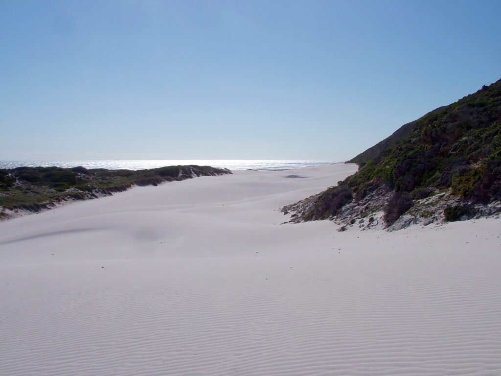 image of sand dunes, platboom beach, south africa 