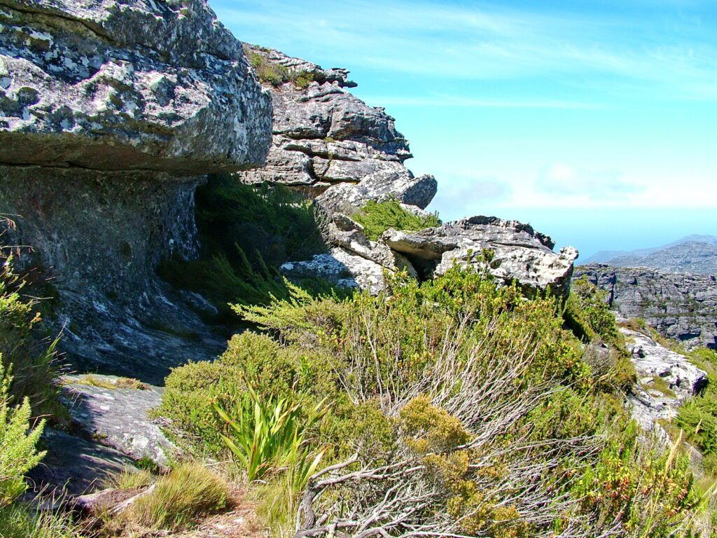 image of rocky terrain, table mountain, cape town, south africa