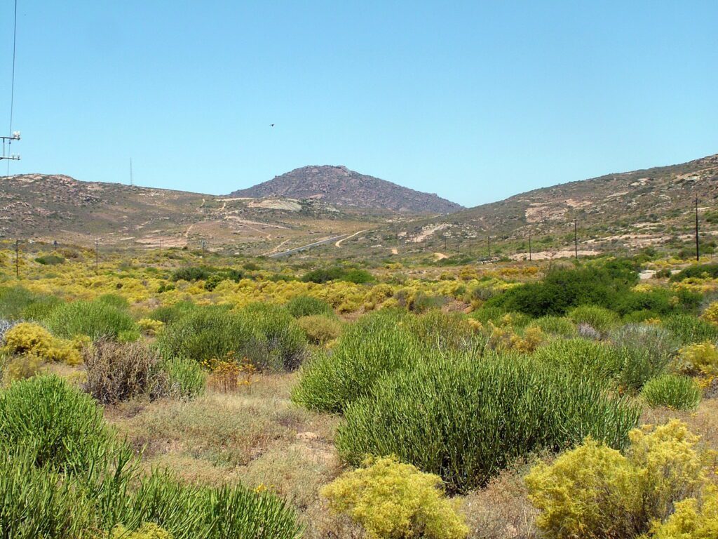 image of landscape and vegetation, northern cape, south africa