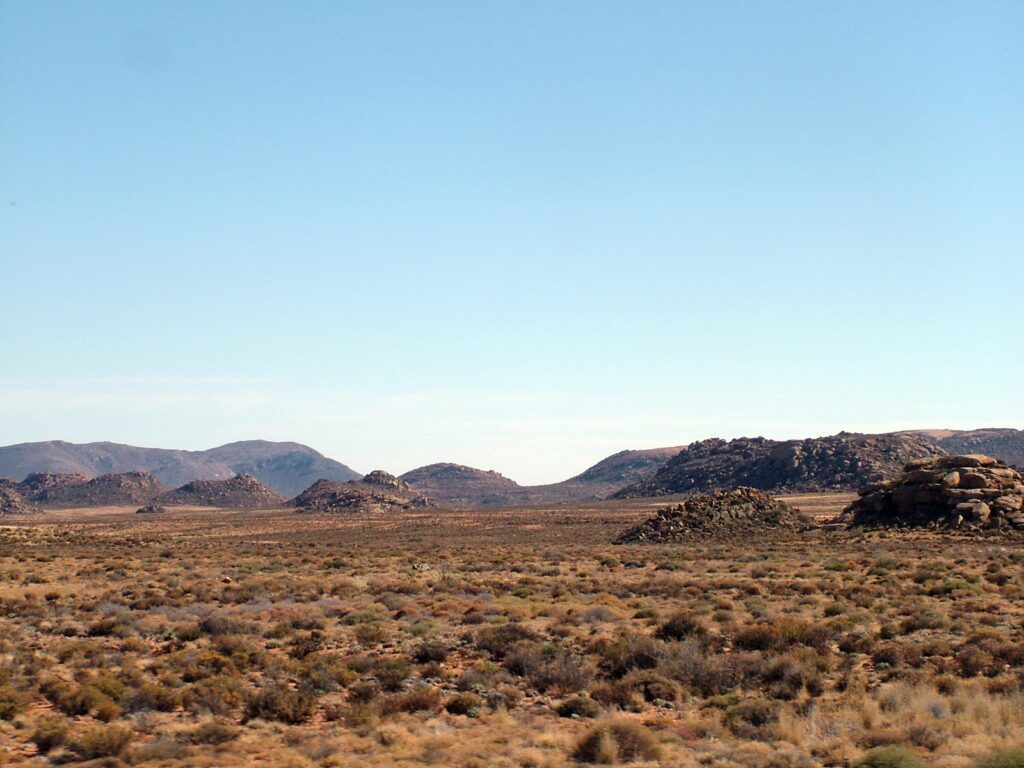 image of native shrubs and grasses on the arid plains, northern cape, south africa 