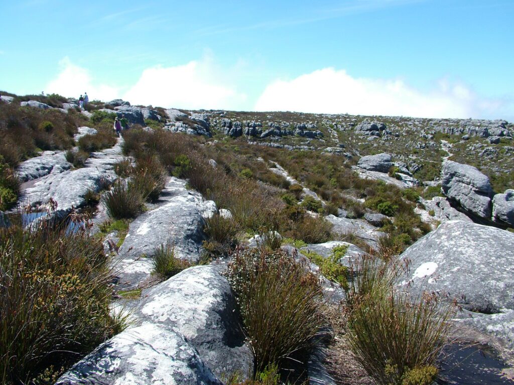 image of the landscape of table mountain, cape town, south africa