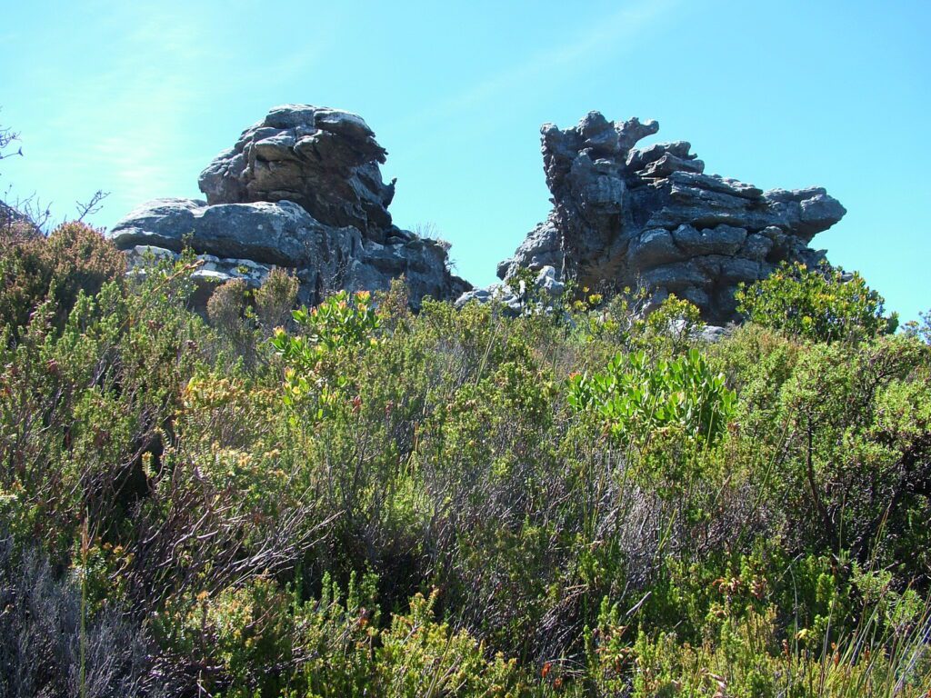 image of rocky outcrops, Table Mountain, Cape Town, South Africa