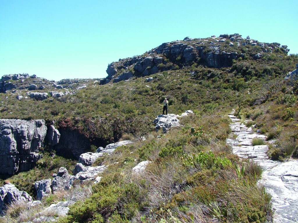 image of bob on klipspringer trail, table mountain, cape town, south africa