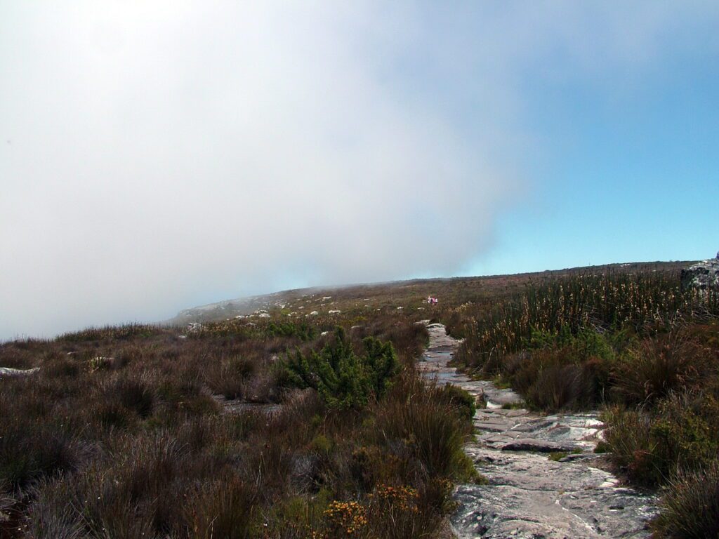image of trail heading into the clouds, table mountain, cape town, south africa 
