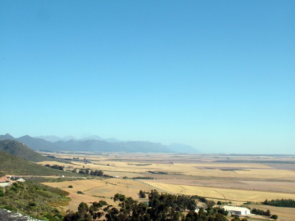 image of wheat fields north of Cape Town, South Africa