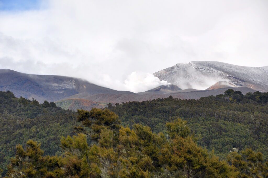 image of tussock grassland and distant peaks, Mt. Tongariro National Park, New Zealand