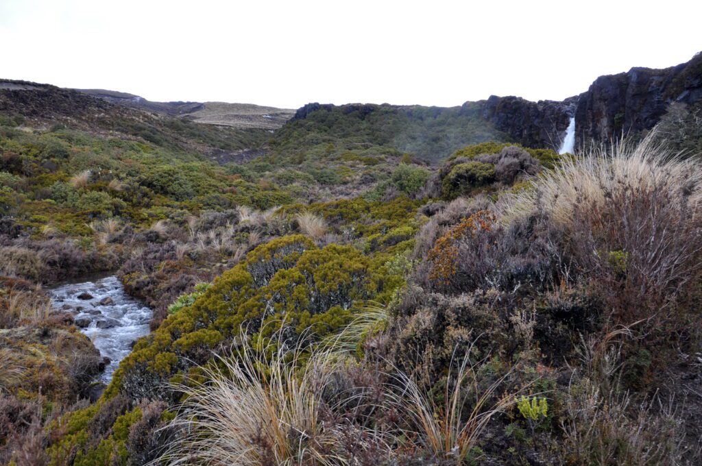 image of taranaki falls, Mt. Tongariro National Park, New Zealand