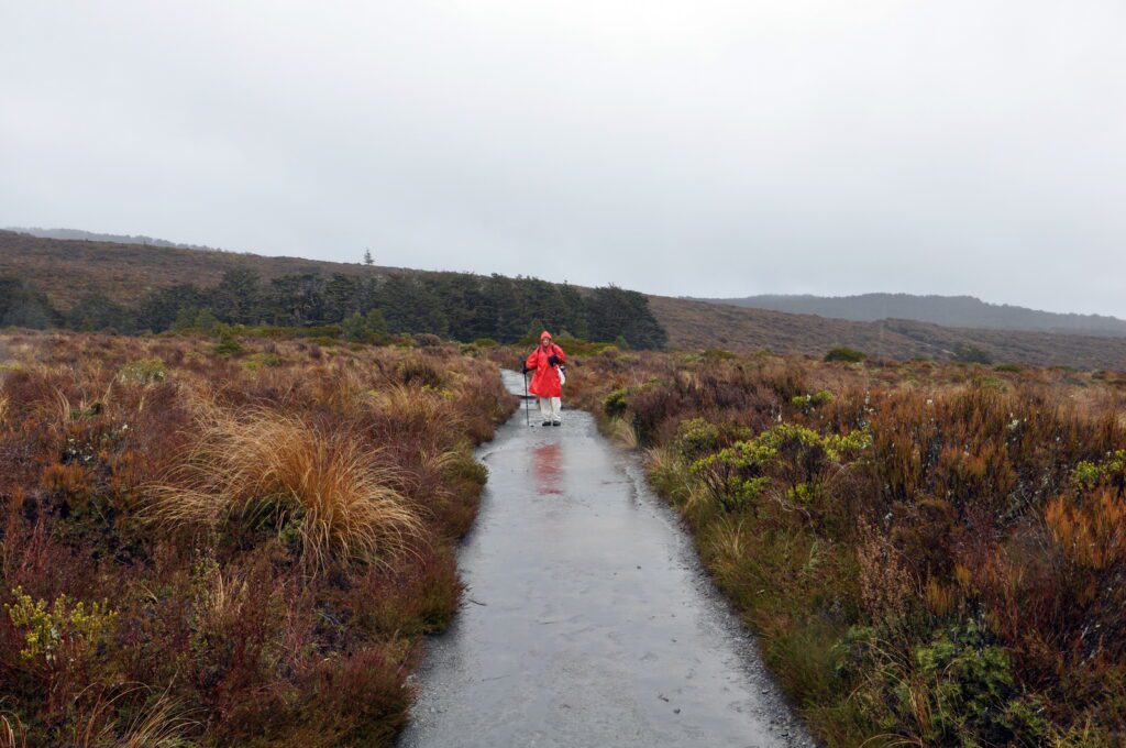 image of bob on the lower track, taranaki falls trail, Mt. Tongariro National Park, New Zealand