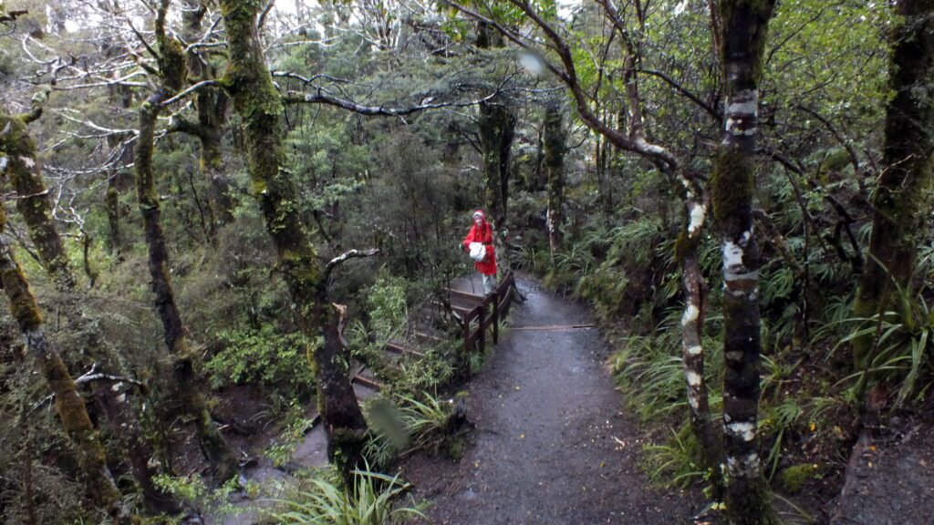 image of jean on the lower track, taranaki falls trail, Mt. Tongariro National Park, New Zealand