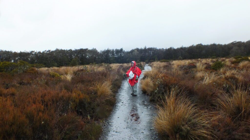 image of jean in the alpine shrubland, taranaki falls trail, Mt. Tongariro National Park, New Zealand