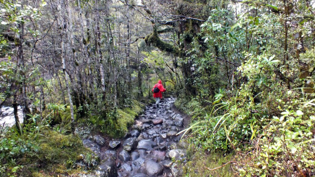 image of taranaki falls trail, Mt. Tongariro National Park, New Zealand