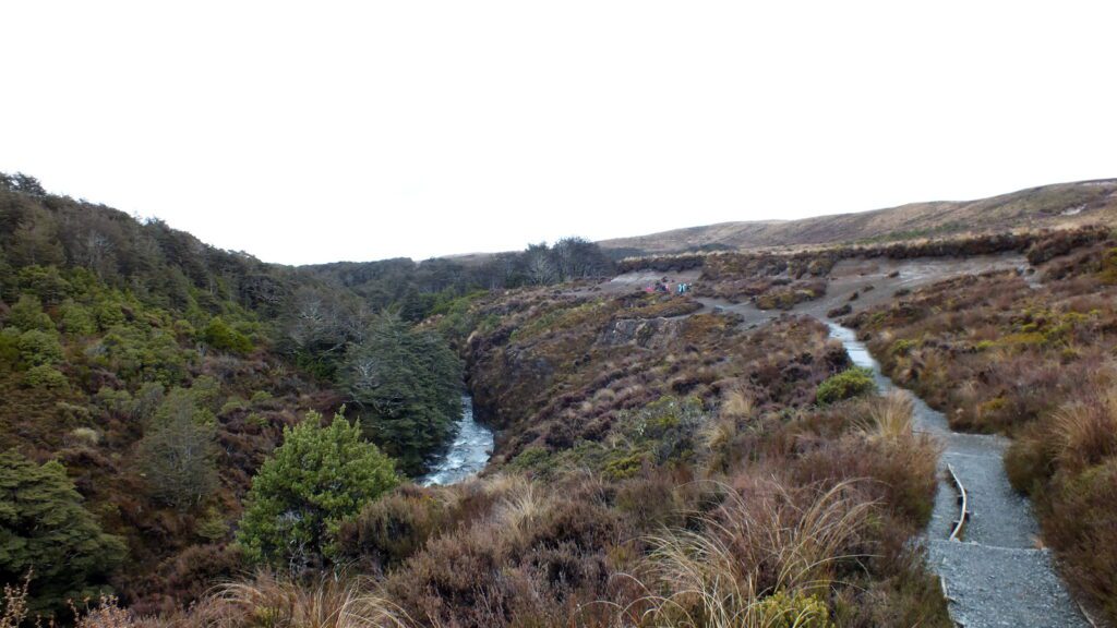 an image of tussock shrubland and wairere stream, taranaki falls trail, Mt. Tongariro National Park, New Zealand