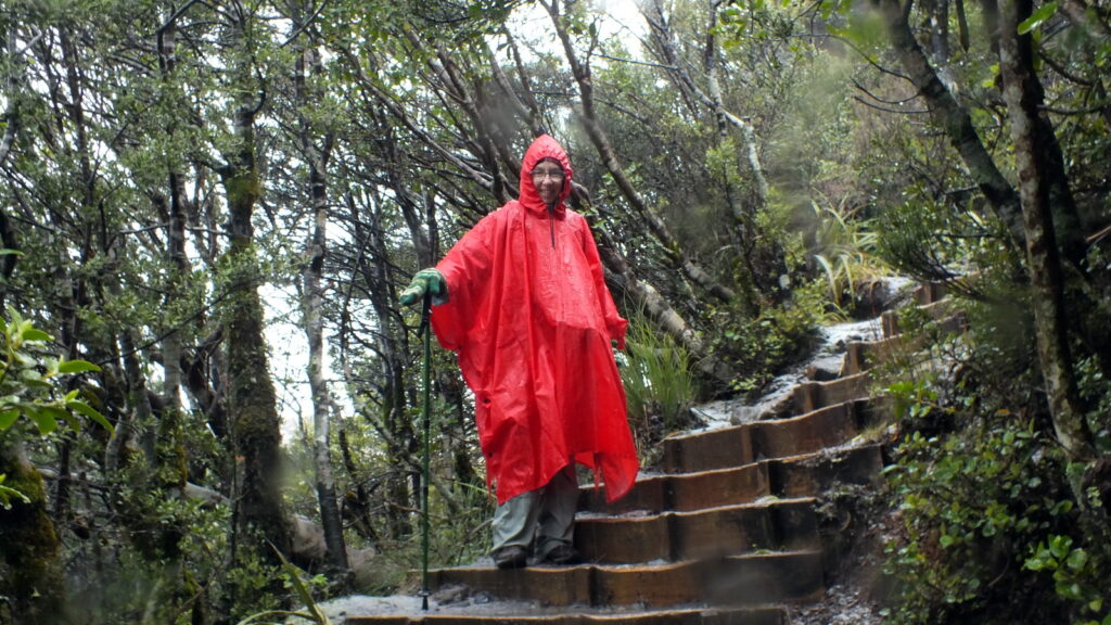 image of jean on taranaki falls trail, Mt. Tongariro National Park, New Zealand
