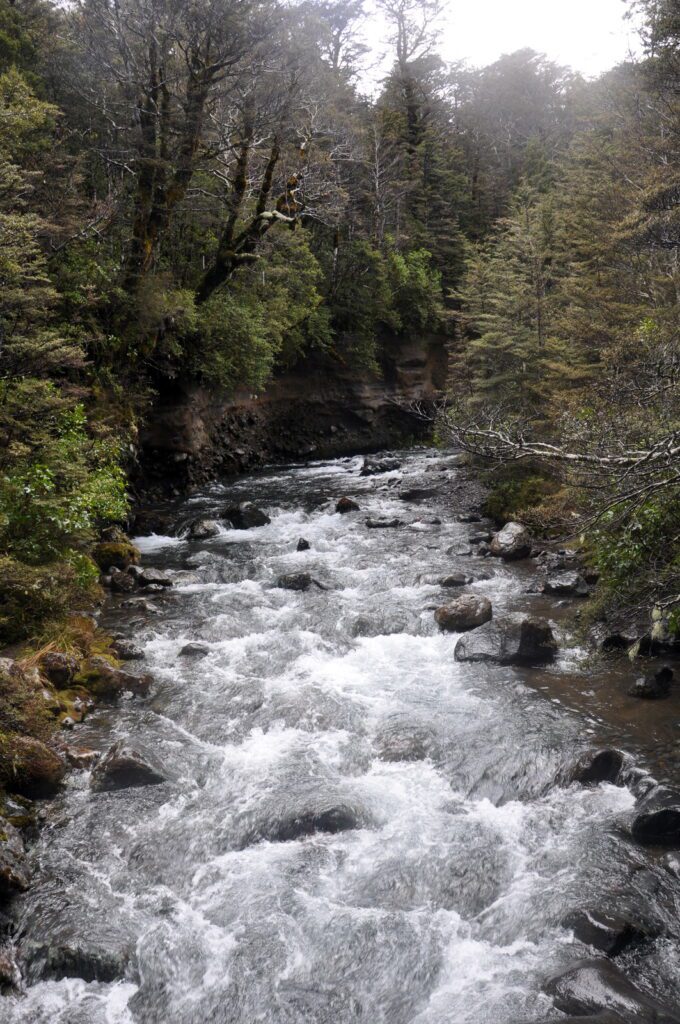image of a river, Mt. Tongariro National Park, New Zealand
