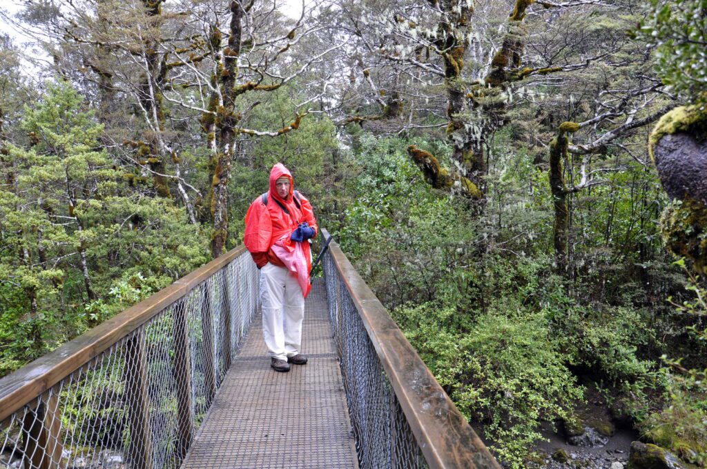 image of bob on the lower track, taranaki falls trail, Mt. Tongariro National Park, New Zealand
