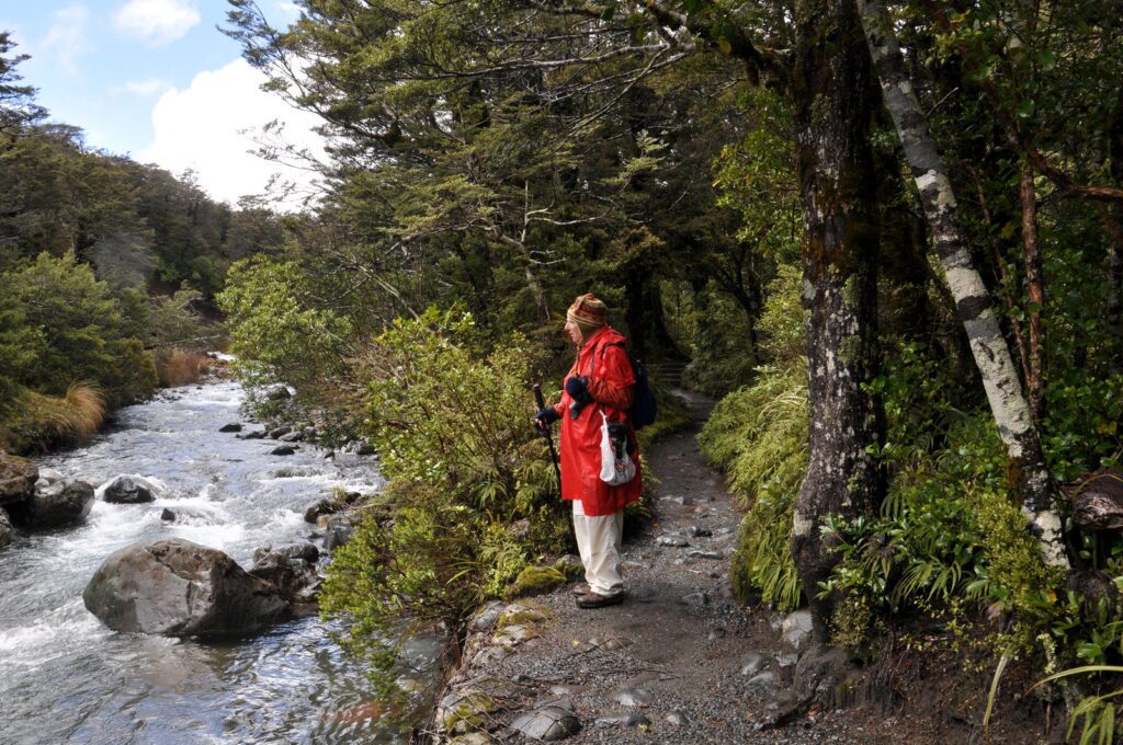 image of bob along wairere stream, taranaki falls trail, Mt. Tongariro National Park, New Zealand