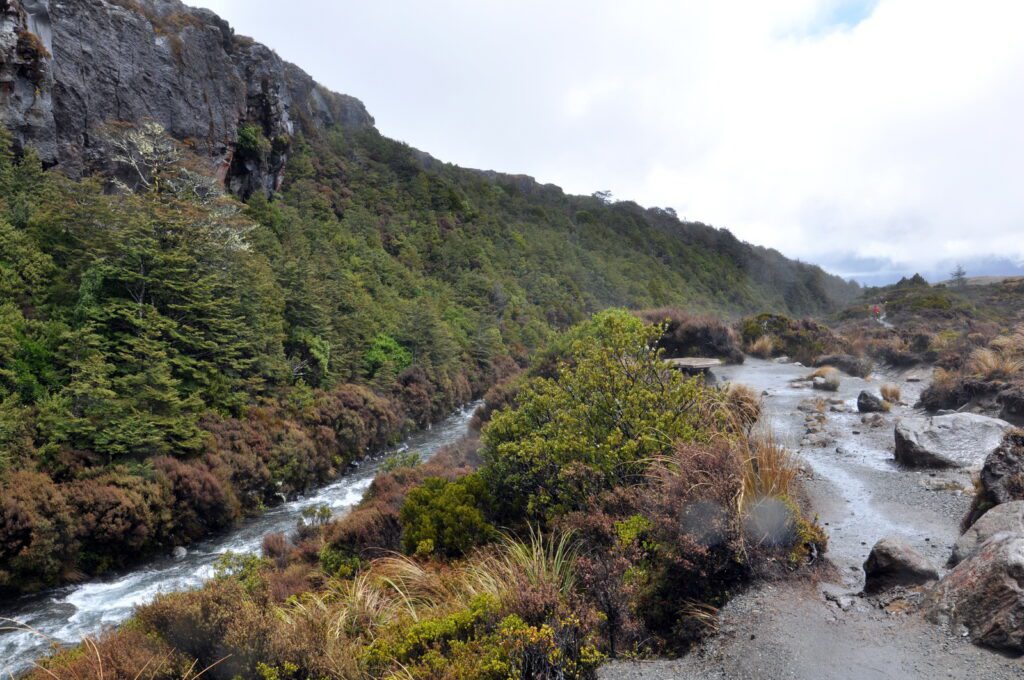 image of wairere stream, taranaki falls trail, Mt. Tongariro National Park, New Zealand