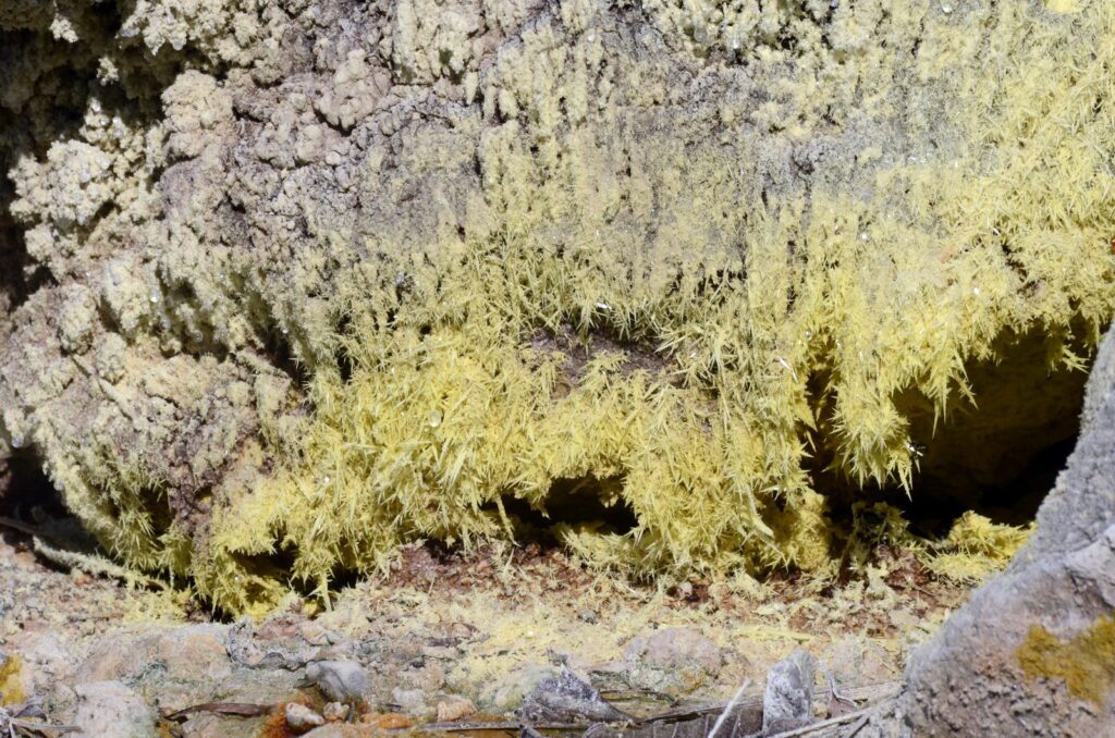 image of yellow sulfur crystals, las hornillas volcanic activity centre, miravalles volcano, costa rica 