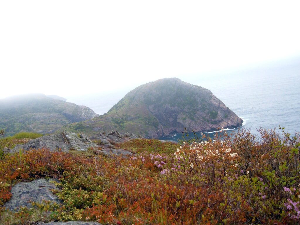 image of cuckolds head from ladies lookout trail, signal hill, st. john's, newfoundland and labrador