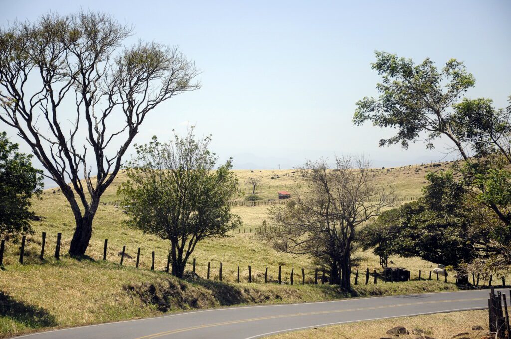 image of farm fields, guanacaste province, costa rica 