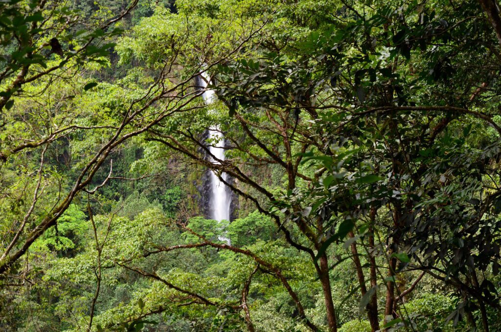 image of la fortuna waterfall through the trees, la fortuna, costa rica