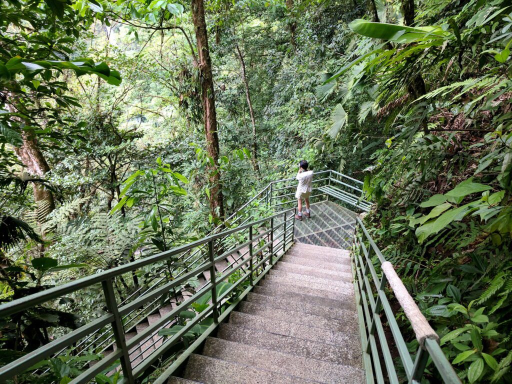 image of steep staircase, la fortuna waterfall, la fortuna, costa rica 