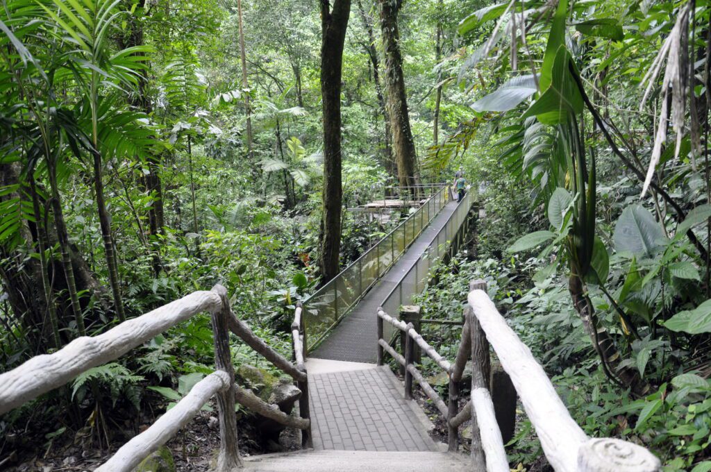 image of a hanging bridge, la fortuna waterfall, la fortuna, costa rica