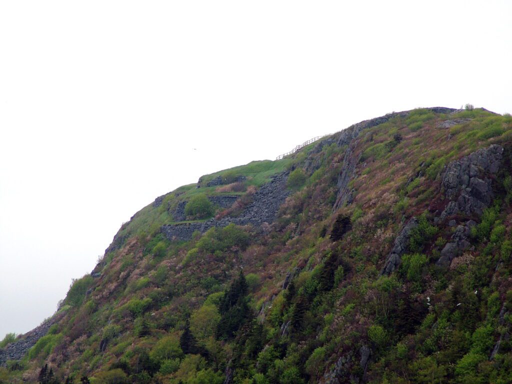 image of ladies lookout, burma road trail, signal hill, st. john's, newfoundland and labrador