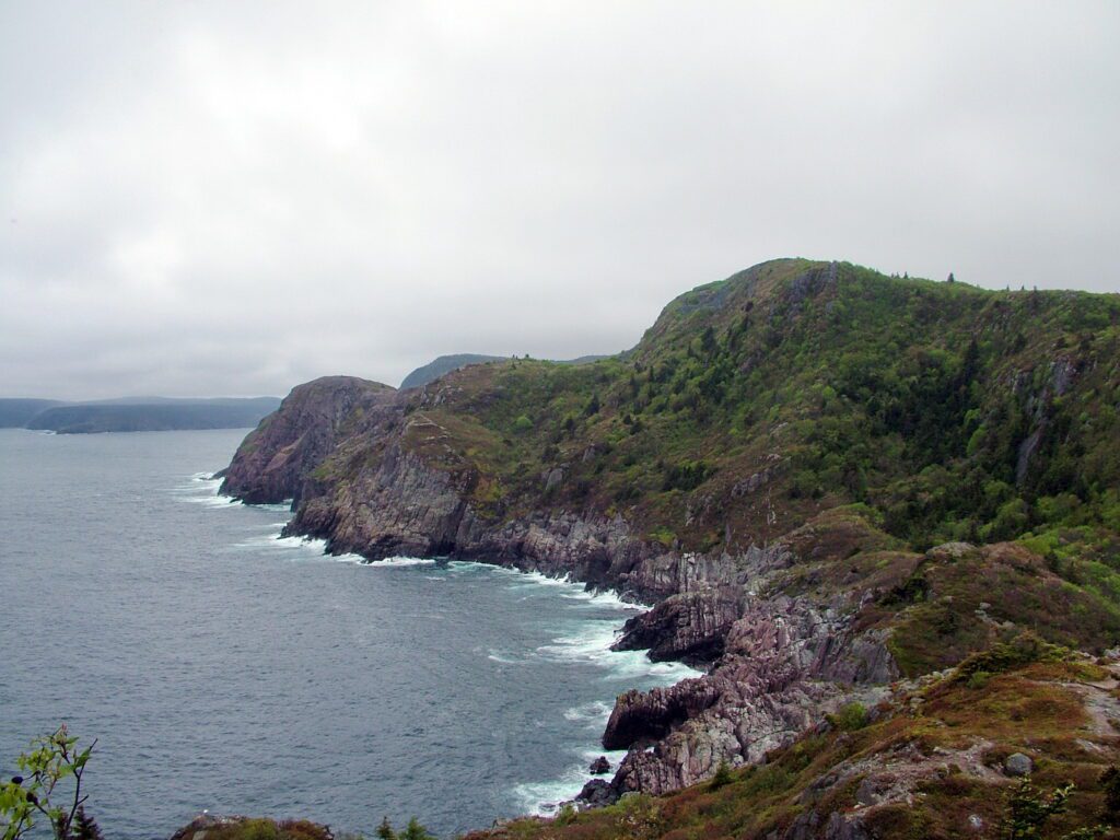 image of atlantic coast, north head, signal hill, st. john's, newfoundland and labrador